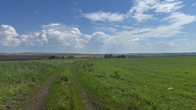 «Урал»